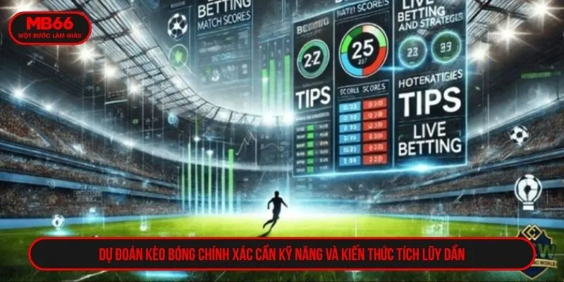 Dự đoán kèo bóng chính xác cần kỹ năng và kiến thức tích lũy dần