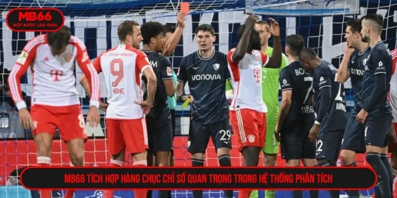 MB66 tích hợp hàng chục chỉ số quan trọng trong hệ thống phân tích