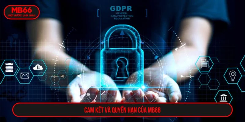 Nhà cái có quyền chỉnh sửa các điều khoản dịch vụ